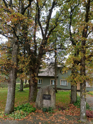R. ŽIAUBERIO nuotr.