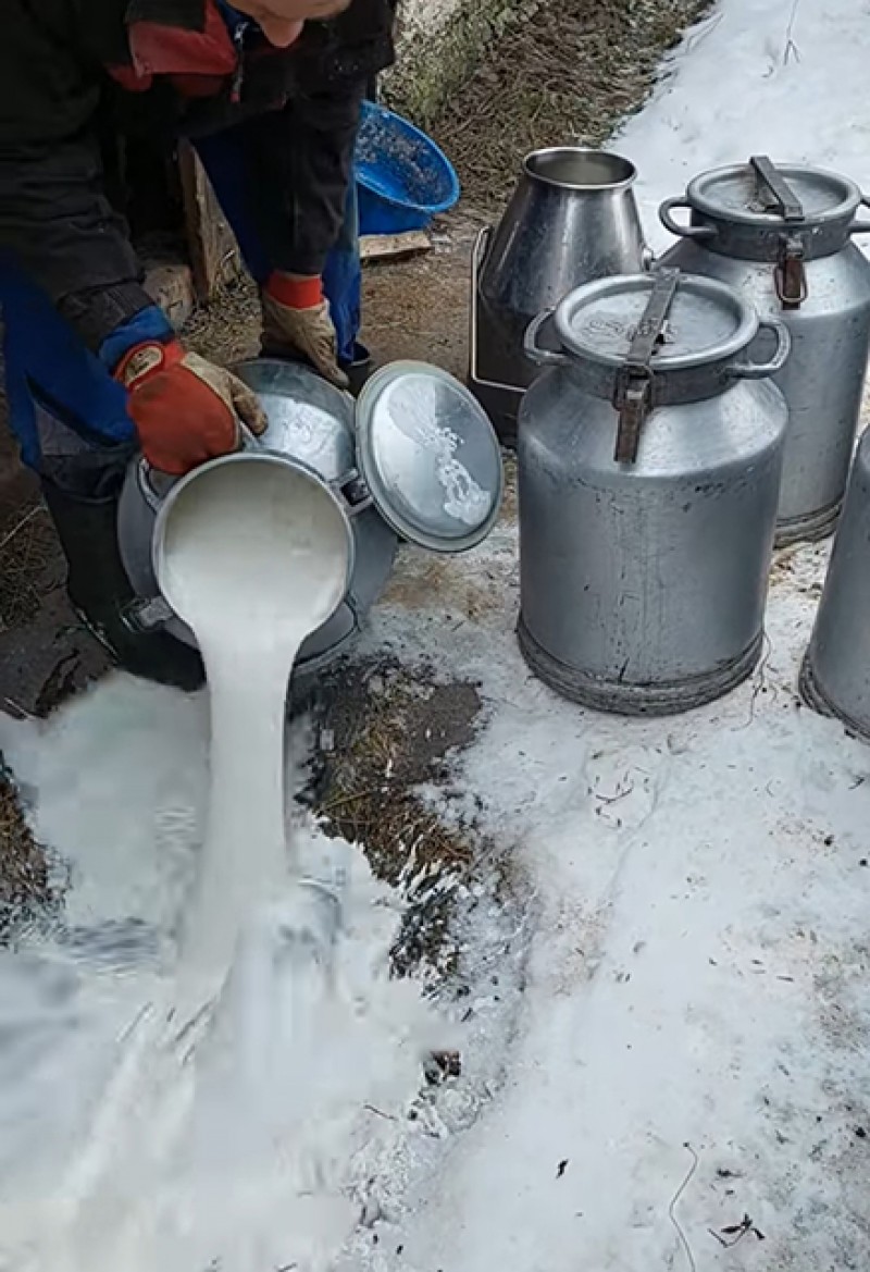 Ūkininkai nusiteikę blokuoti pienines