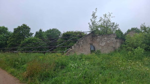 Valdžia nuleido rankas: griuvėsių savininkų neįveikia