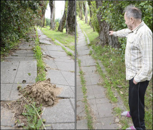 Seno žmogaus niekas negirdi?